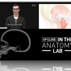 Professor Cotofana Anatomy review