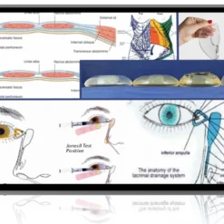 Contemporary Principles and Techniques in Advanced Plastic and Reconstructive Surgery